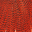 ewing-mini-pack-sz-10-12_GORN