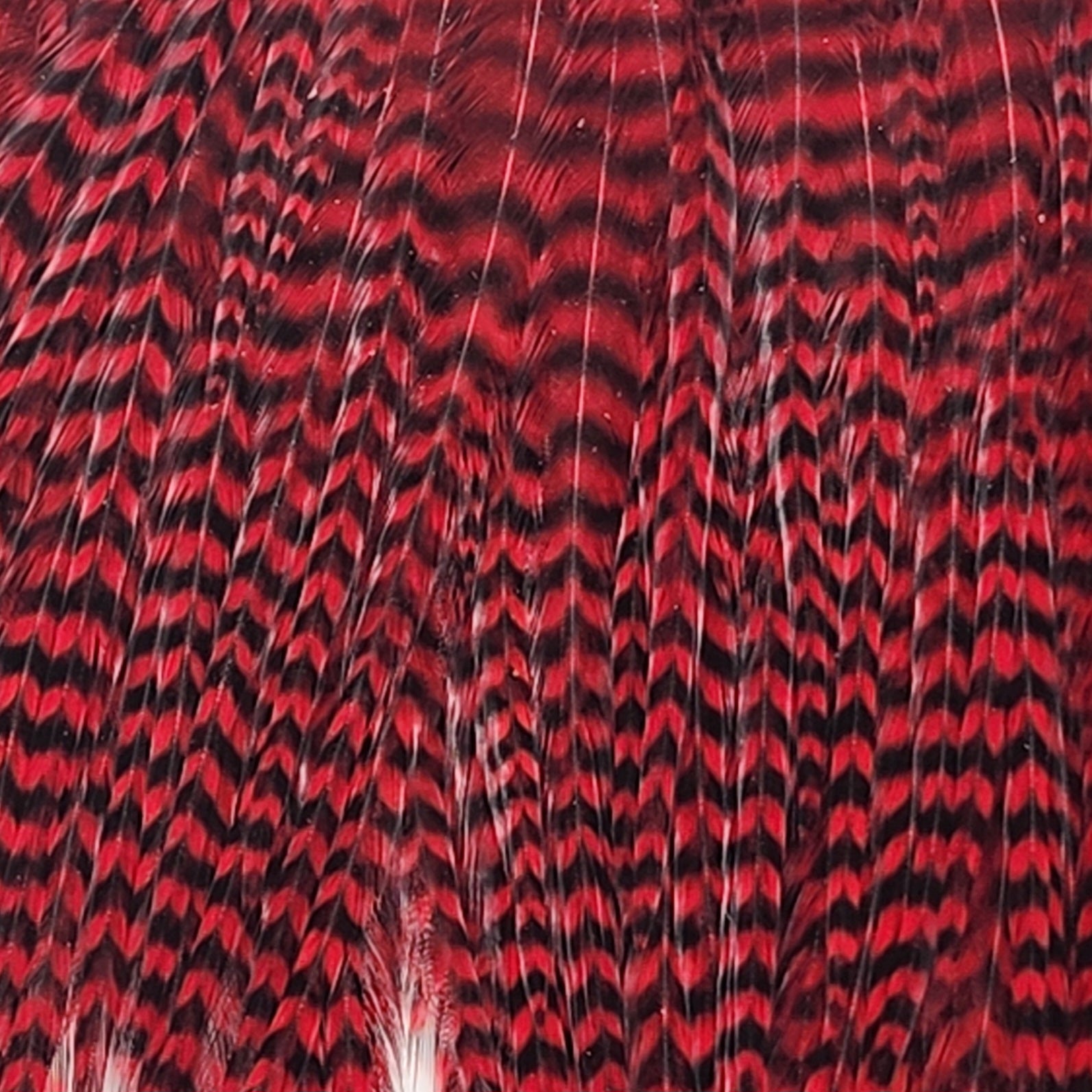 Mini Pack 14-16 | Ewing | Hackle | J. Stockard Fly Fishing