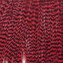 ewing-mini-pack-sz-10-12_GRED