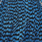 Grizzly Silver Doctor Blue