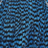 NM-650310-GSBD