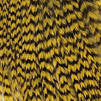 Grizzly Yellow