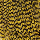 ewing-mini-pack-sz-10-12_GYEL