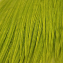 ewing-mini-pack-sz-10-12_SGCH