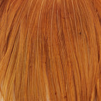 Ginger