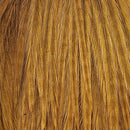 ewing-mini-pack-sz-10-12_SGOL