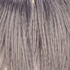 Light Blue Dun