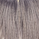 ewing-mini-pack-sz-10-12_SLBD