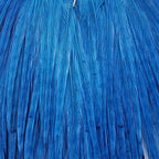 Silver Doctor Blue