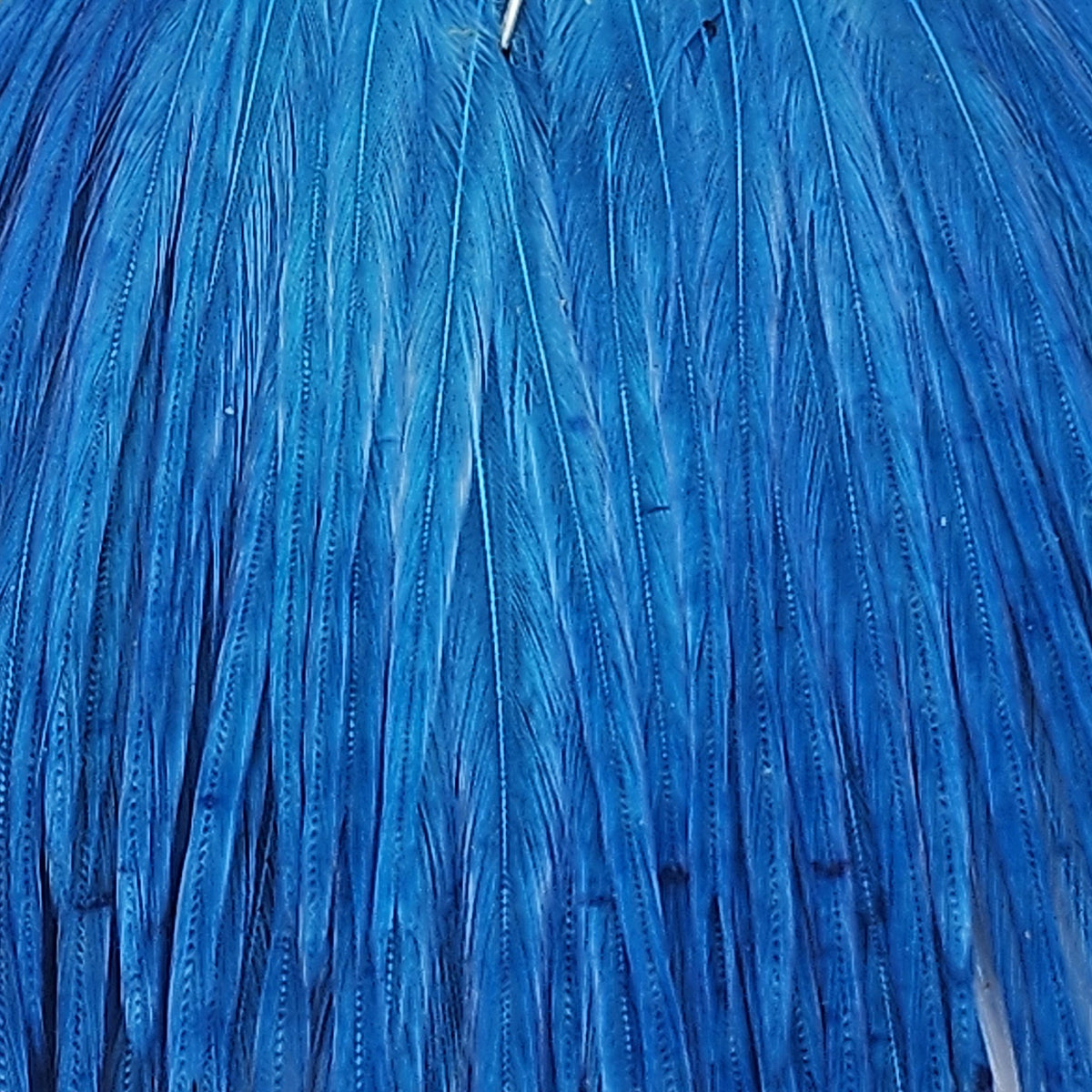 Mini Pack 14-16 | Ewing | Hackle | J. Stockard Fly Fishing