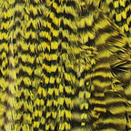 Grizzly Green Chartruese