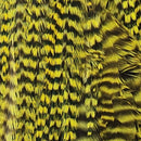 ewing-wooly-bugger_GGCH