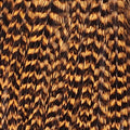 Wooly Bugger