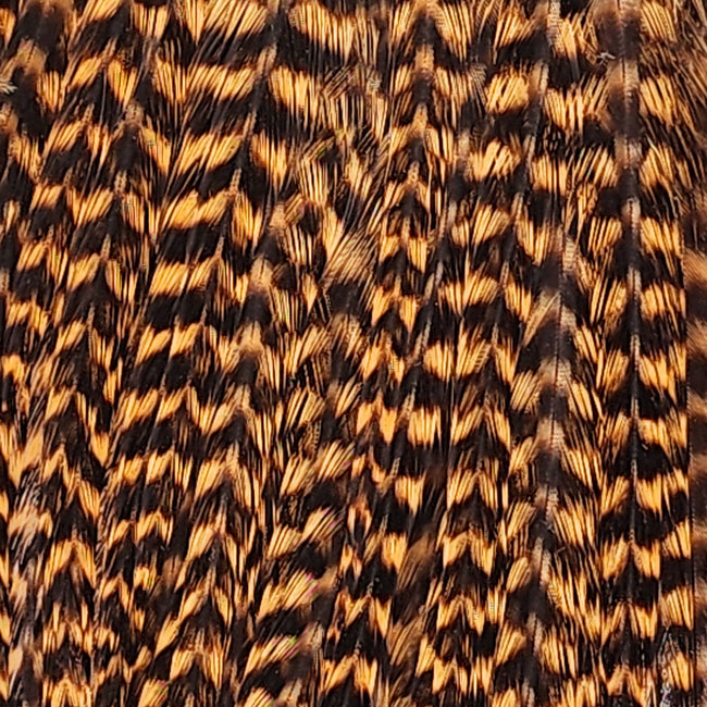 Wooly Bugger