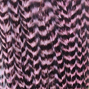 ewing-wooly-bugger_GLIP