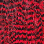 Grizzly Red