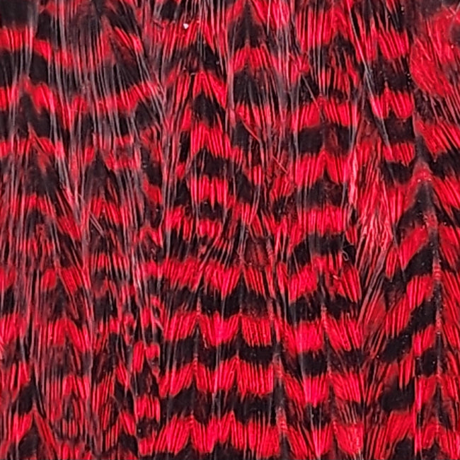 Wooly Bugger