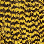 Grizzly Yellow