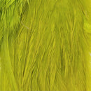 ewing-wooly-bugger_SGCH