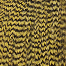 NM-65310-GGOL_9c804ad2-3b66-4850-8c20-bf842baac88a