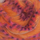 barred-polychrome-rabbit-strips_0004