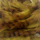 barred-polychrome-rabbit-strips_0005