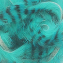 barred-polychrome-rabbit-strips_0007