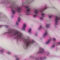 barred-polychrome-rabbit-strips_0008