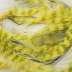 White / Yellow / Chartreuse