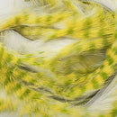 barred-polychrome-rabbit-strips_0009