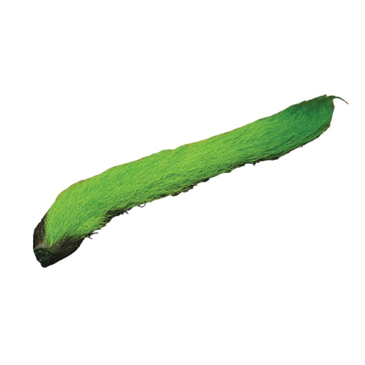 calf-tail