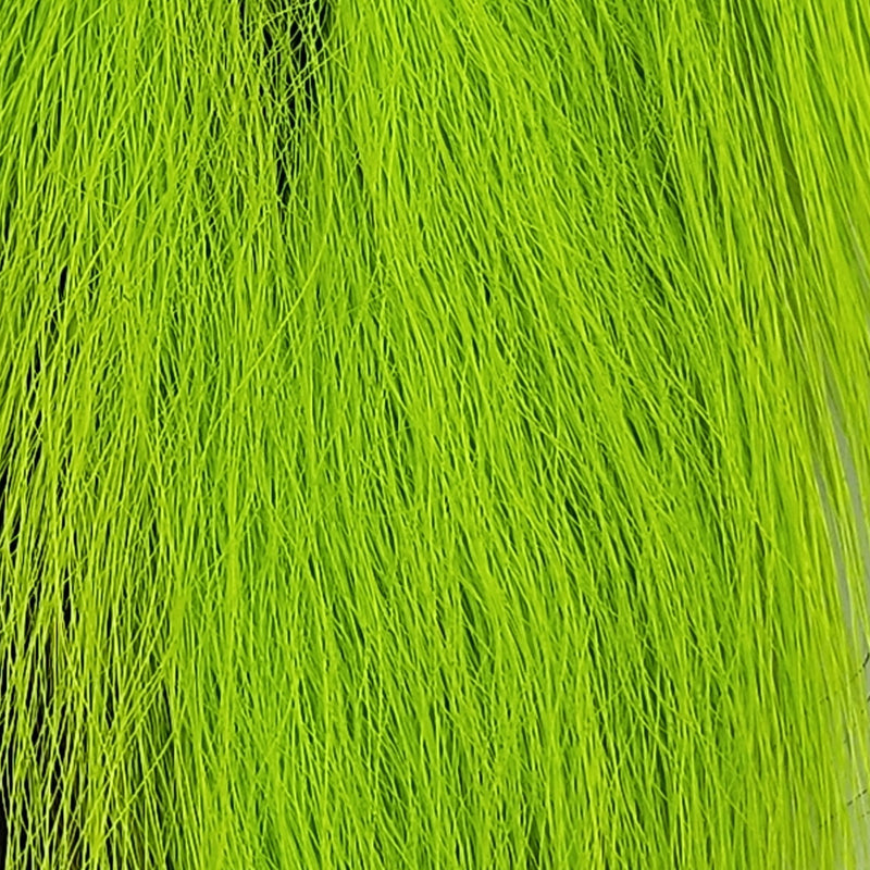 petite-bucktail_CHAT