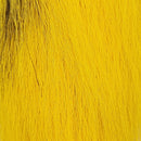 petite-bucktail_YELL