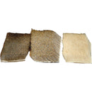 coastal-blacktail-deer-body-hair