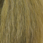 gray olive