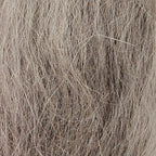 muskrat gray
