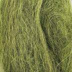 sasquatch olive