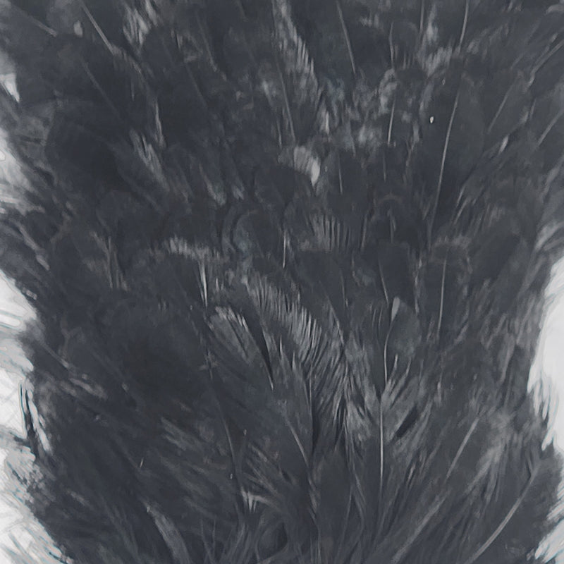 india-hen-back_BLCK