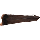cinnamon-tip-turkey-tail-feathers_0000