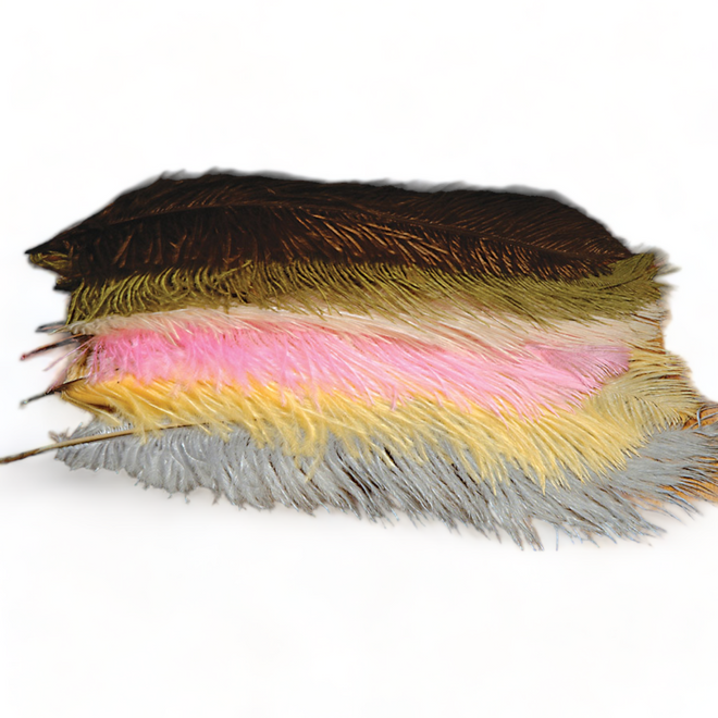 10-12-ostrich-herl