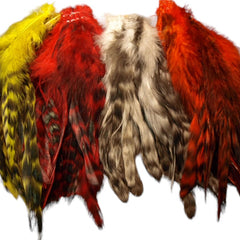 barred-variant-strung-schlappen