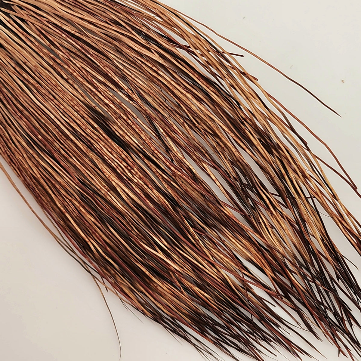 Happy Javelina Peccary Fur for Fly Tying Stockard