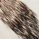 happy-javelina-peccary_NATL