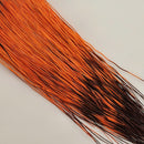 happy-javelina-peccary_ORNG