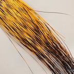 sunflower yellow