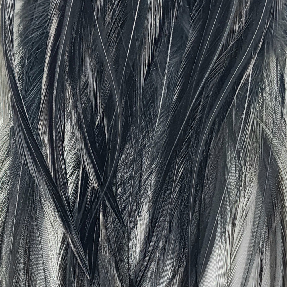 NM620130-BLCK
