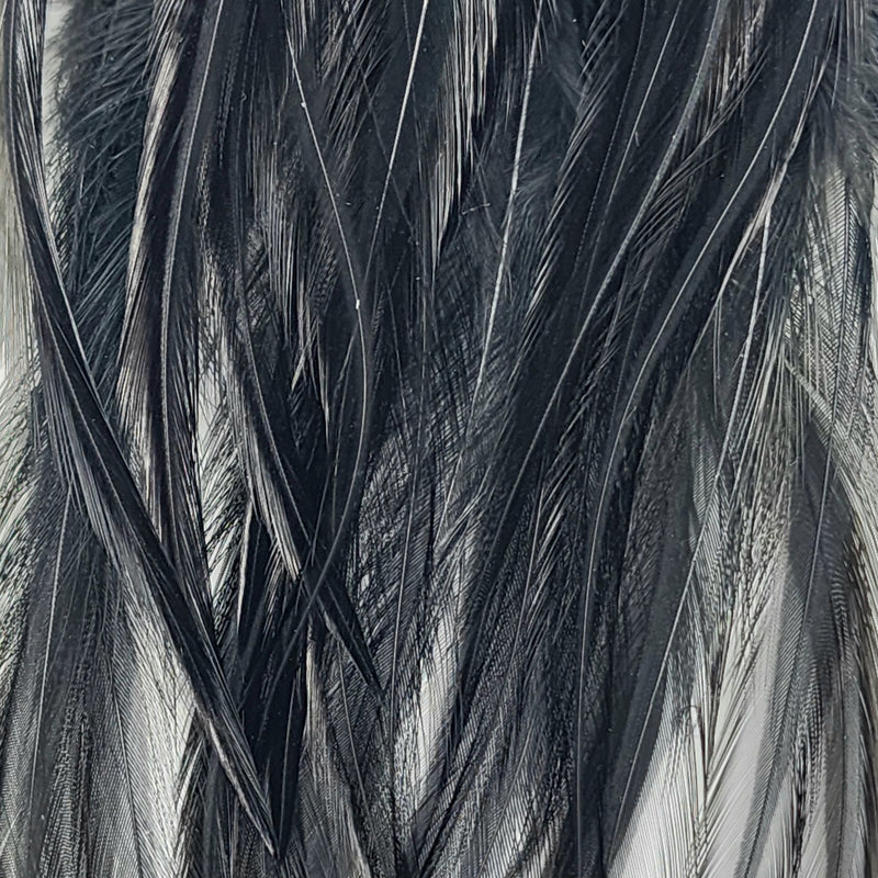 NM620130-BLCK