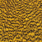 grizzly dyed yellow