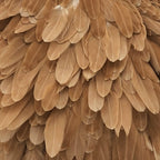 medium ginger