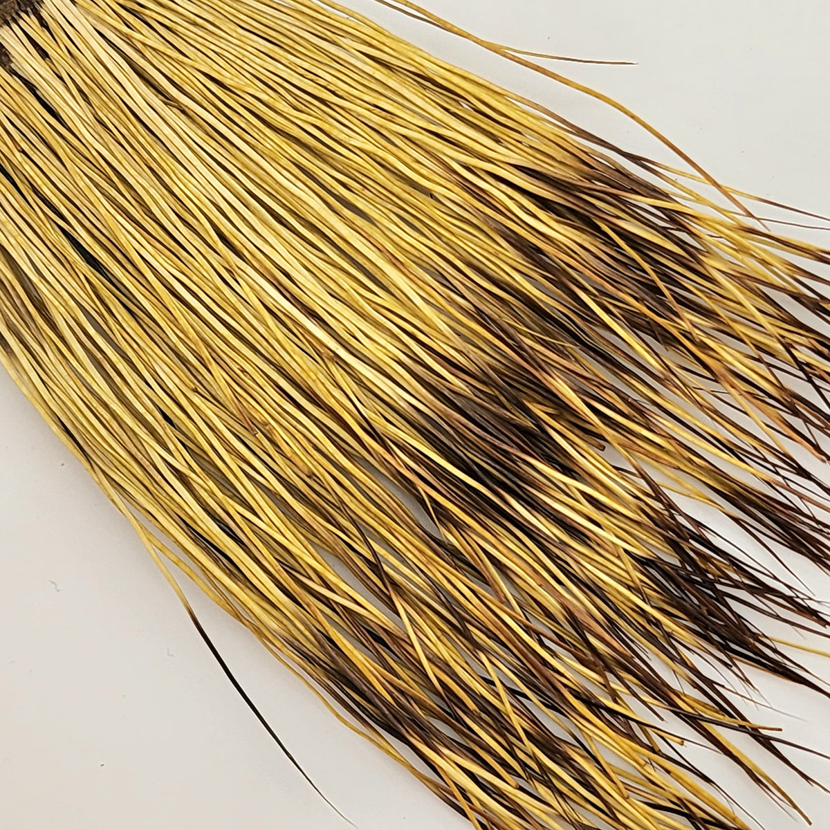 Happy Javelina Peccary Fur for Fly Tying Stockard